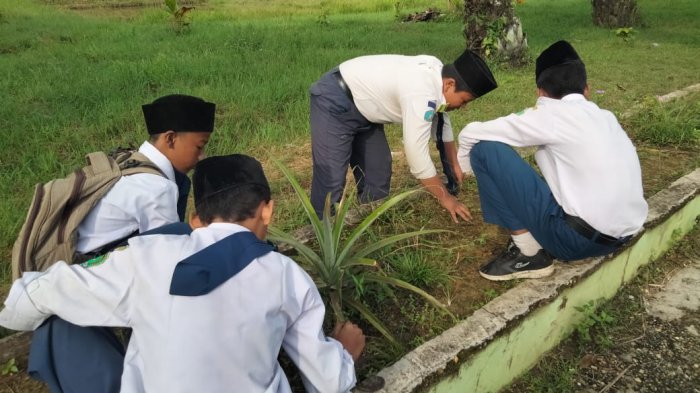 MTsN 1 Muaro Jambi Terapkan Sanksi untuk Siswa Terlambat Upacara MTsN 1 Muaro Jambi Terapkan Sanksi untuk Siswa Terlambat Upacara