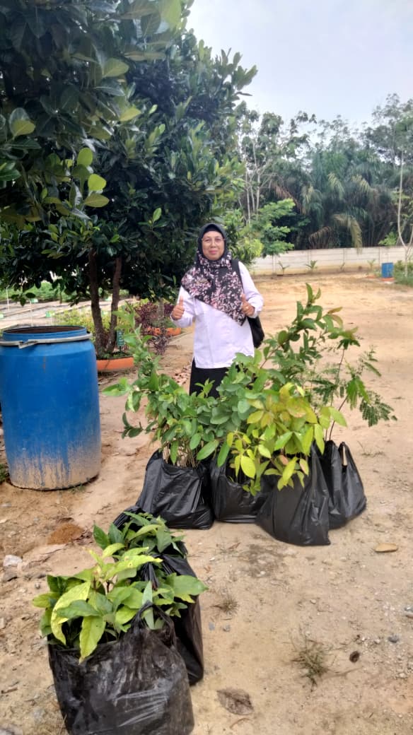 Kepala Madrasah Terima Bibit Buah dan Perlindungan Lingkungan dari BPDAS Batanghari Kepala Madrasah Terima Bibit Buah dan Perlindungan Lingkungan dari BPDAS Batanghari