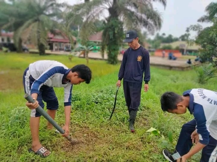 Inovasi Madrasah: Konsep Pendidikan Hijau untuk Keberlanjutan Masa Depan